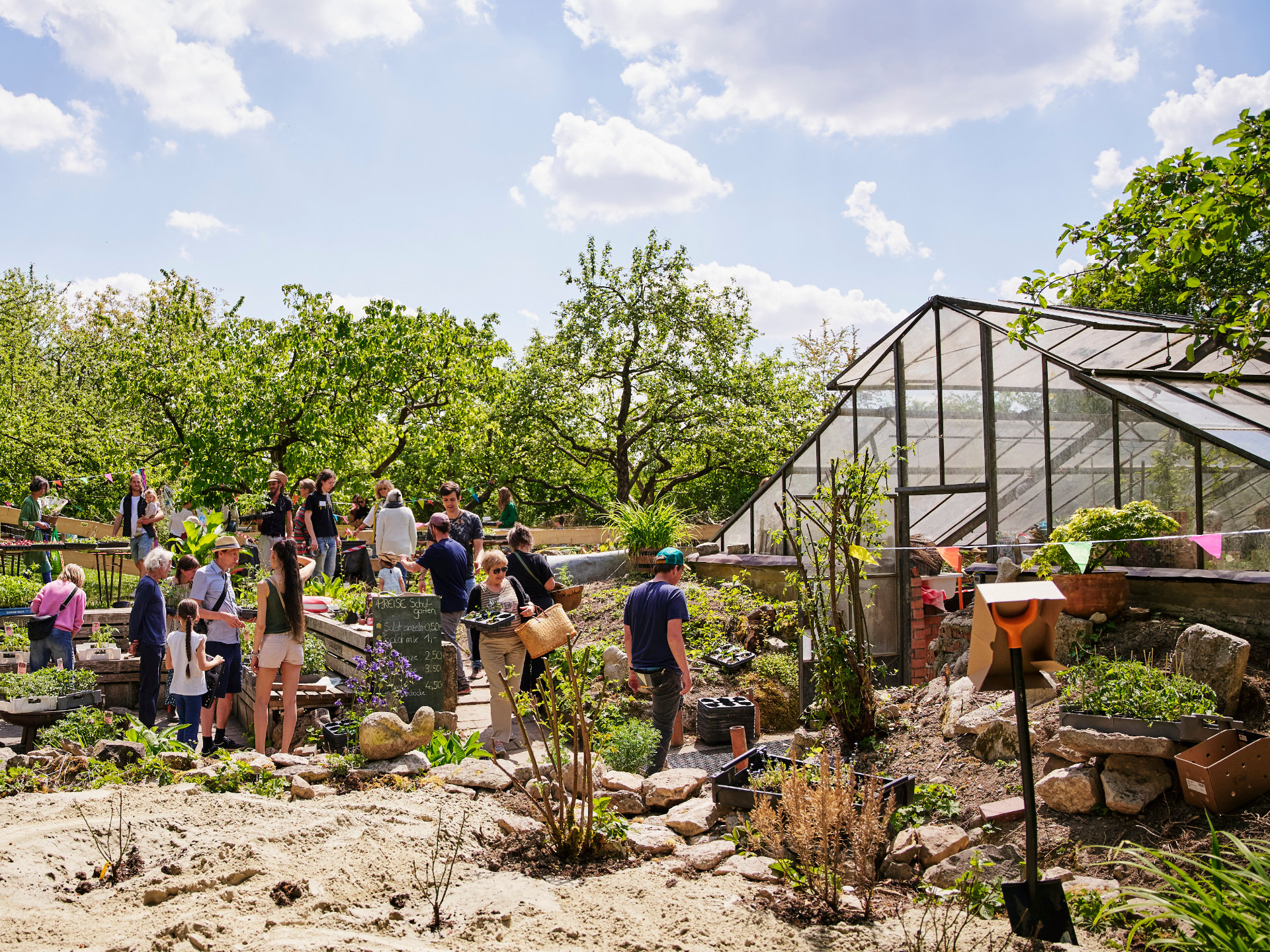 Jungpflanzenmarkt im Schulgarten